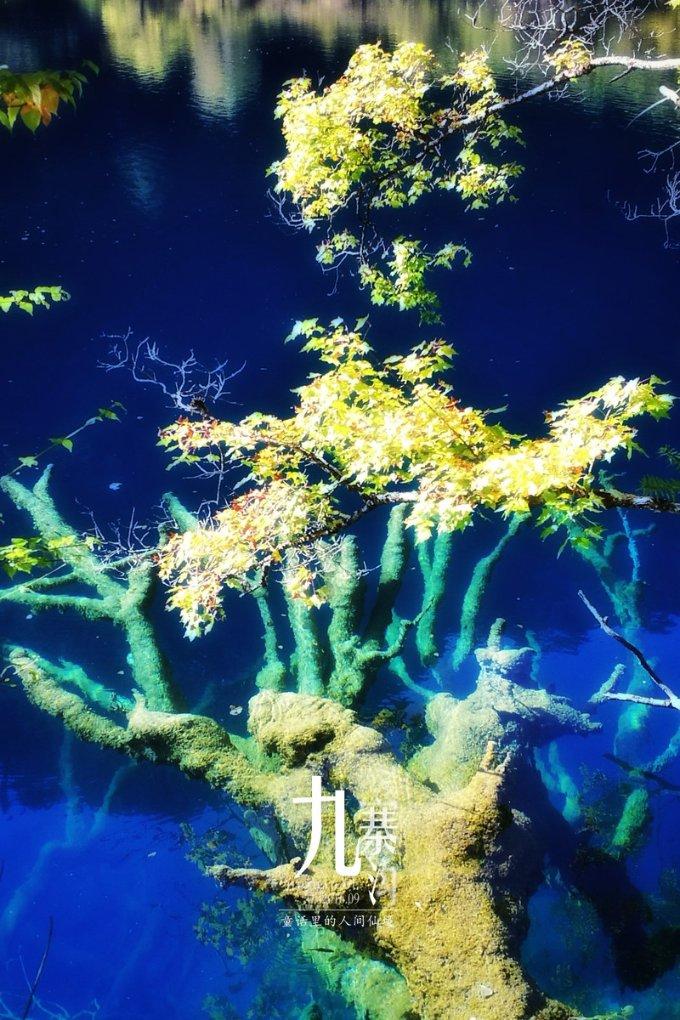 辽宁省多举措推动经济稳中求进 加大企业上市扶持力度