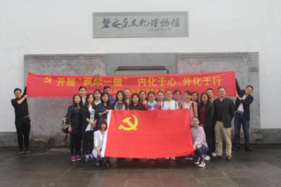 彼得比尔特379拼图
