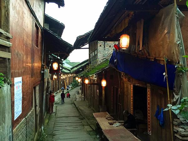 两只猫在校园里吵架遭围观，为何学生们试图劝架都劝不住？游戏画面